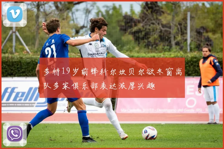 多特19岁前锋科尔坎贝尔欲冬窗离队多家俱乐部表达浓厚兴趣