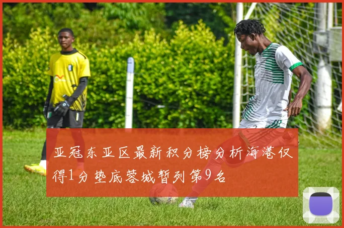 亚冠东亚区最新积分榜分析海港仅得1分垫底蓉城暂列第9名