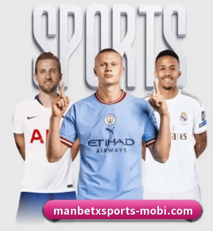 五大服务分区,信息按项目分类（ManBetX）